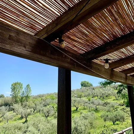 Fattoria La Prugnola Bauernhof