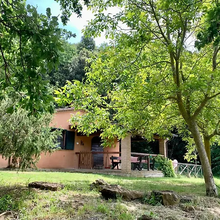 Κατάλυμα σε φάρμα Fattoria La Prugnola Montescudaio