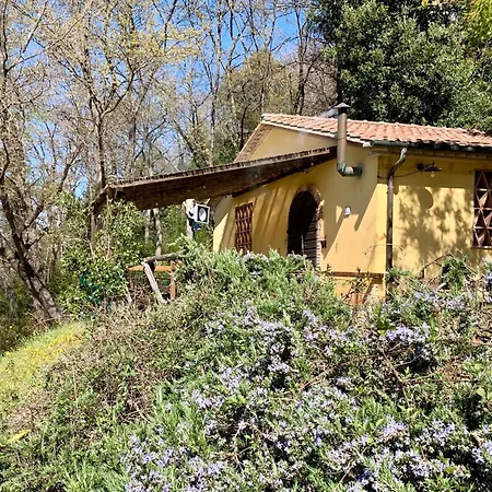 Κατάλυμα σε φάρμα Fattoria La Prugnola Montescudaio