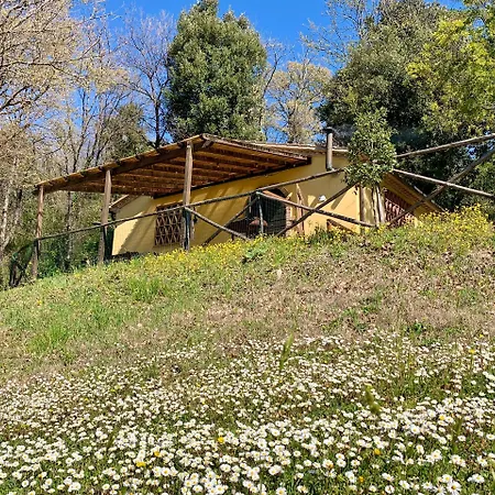 Fattoria La Prugnola Montescudaio