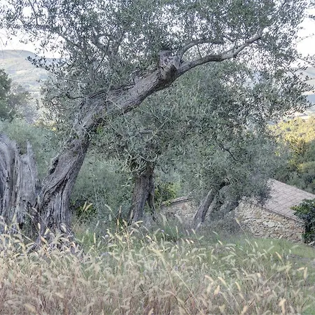 Κατάλυμα σε φάρμα Fattoria La Prugnola Montescudaio